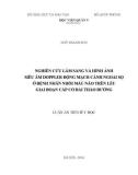 Luận án Tiến sĩ Y học: Nghiên cứu lâm sàng và hình ảnh siêu âm Doppler động mạch cảnh ngoài sọ ở bệnh nhân nhồi máu não trên lều giai đoạn cấp có đái tháo đường