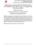 Ảnh hưởng của độ mặn đến tốc độ sinh trưởng và tỷ lệ sống của cá nâu (Scatophagus argus Linnaeus, 1766) ở giai đoạn giống