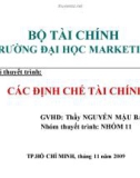 Thuyết trình: Các định chế tài chính