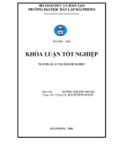 LUẬN VĂN: lMỘT SỐ GIẢI PHÁP NHẰM MỞ RỘNG THỊ TRƢỜNG TIÊU THỤ TẠI CÔNG TY DỊCH VỤ HÀNG HẢI PHƯƠNG ĐÔNG