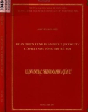 Luận văn Thạc sĩ Kinh doanh và quản lý: Hoàn thiện kênh phân phối tại Công ty cổ phần Sơn tổng hợp Hà Nội