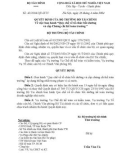 Thông tư số Số: 43/2004/QĐ-BTC Về việc ban hành “Quy chế về tổ chức bồi dưỡng và cấp Chứng chỉ Kế toán trưởng