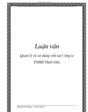 Luận văn: Quản lý và sử dụng vốn tại Công ty TNHH Thiết Mộc