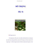 ĐỖ TRỌNG (Kỳ 4)