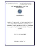 Luận văn Thạc sĩ Hóa học: Nghiên cứu tách chiết và nâng cao hàm lượng hoạt chất [6]-shogaol trong cao gừng (Zingiber officinale), fucoidan trong cao rong nâu (Sargassum mcclurei) và apigenin trong cao cần tây (Apium graveolens)