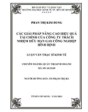 Luận văn Thạc sĩ Kinh tế: Các giải pháp nâng cao hiệu quả tài chính tại Công ty TNHH Gas Công Nghiệp Bình Định