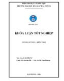 Khóa luận tốt nghiệp ngành Kế toán - Kiểm toán: Hoàn thiện tổ chức kế toán doanh thu, chi phí và xác định kết quả kinh doanh tại Công ty cổ phần đầu tư và Khai Khoáng Việt Nam