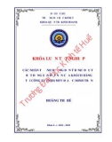 Khóa luận tốt nghiệp Quản trị kinh doanh: Các nhân tố ảnh hưởng đến ý định đầu tư bất động sản đất nền của khách hàng tại Công ty TNHH MTV Địa Ốc Minh Trần