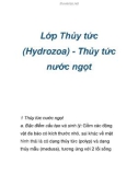 Lớp Thủy tức (Hydrozoa) - Thủy tức nước ngọt