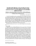 Khả năng kháng bệnh bạc lá của các dòng lúa chỉ thị (Tester) chứa đa gen kháng với một số chủng vi khuẩn Xanthomonas oryzae pv. oryzae gây bệnh bạc lá lúa phổ biến ở miền bắc Việt Nam