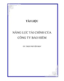 NĂNG LỰC TÀI CHÍNH CỦA CÔNG TY BẢO HIỂM