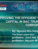 IMPROVING THE EFFICIENT USE OF CAPITAL IN BAC TRUNG NAM CORPORATION