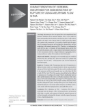 Characterization of cerebral aneurysms for assessing risk of rupture by using aneurysms flow in DSA