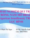 Báo cáo tốt nghiệp: Khảo nghiệm qui trình trồng nấm mỡ Brazil (Agaricus brasiliensis) trên lục bình