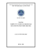 Luận án Tiến sĩ Hóa học: Nghiên cứu ăn mòn cục bộ kim loại bằng phương pháp nhiễu điện hóa