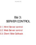 Html Server control