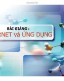 Bài giảng: INTERNET và ỨNG DỤNG