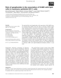 Báo cáo khoa học: Role of gangliosides in the association of ErbB2 with lipid rafts in mammary epithelial HC11 cells