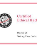 Module 28 Writing Virus Codes