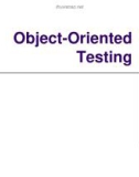 Object-Oriented Testing