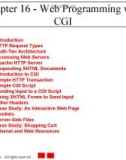 Chapter 16 - Web Programming with CGI