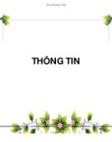 Bài giảng Thông tin trong quản lý hành chính