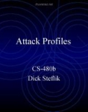 Attack Profiles