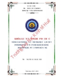 Khóa luận tốt nghiệp Quản trị kinh doanh: Nâng cao năng lực cạnh tranh của dịch vụ Internet trực tiếp cho khách hàng doanh nghiệp tại VNPT Đà Nẵng