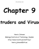 Intruders and Viruses