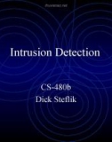 Intrusion Detection