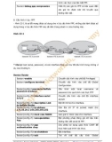 HƯỚNG DẪN VỀ CCNA LAB- P33