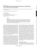 Minireview Maize DNA-sequencing strategies and genome organization Ron J Okagaki and Ronald L