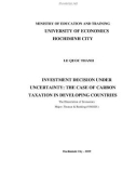 The Dissertation of Economics: Investment decision under uncertainty - The case of carbon taxation in developing countries