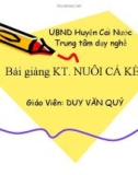 Bài giảng Kỹ thuật nuôi cá kèo - Duy Văn Quý