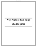 Việt Nam sẽ bán cái gì cho thế giới?