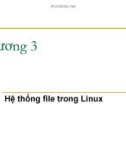 Chương 3 Hệ thống file trong Linux