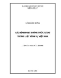 Luận văn Thạc sĩ Luật học: Các hình phạt không tước tự do trong luật hình sự Việt Nam