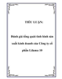 TIỂU LUẬN: Đánh giá tổng quát tình hình sản xuất kinh doanh của Công ty cổ phần Lilama 10