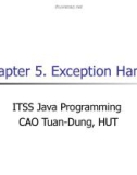 Java C5. Exception Handling