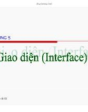 Giao diện ( Interface)