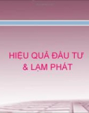 HIỆU QUẢ ĐẦU TƯ & LẠM PHÁT