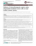 Delivery of chemotherapeutic agents using drug-loaded irradiated tumor cells to treat murine ovarian tumors