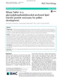 Wheat TaMs1 is a glycosylphosphatidylinositol-anchored lipid transfer protein necessary for pollen development