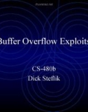 Buffer Overflow Exploits