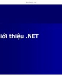 Bài giảng Lập trình hướng đối tượng - Giới thiệu . NET