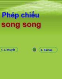 §5. Phép chiếu song song