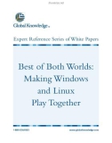 White Papers_BestBothWorlds