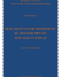 Luận văn Thạc sĩ Sinh học: Dùng tảo xử lý nước thải kênh Tàu Hũ - Bến Nghé trên nền nước ngọt và nước lợ