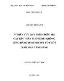 Luận án tiến sĩ Y học: Nghiên cứu quy trình điều trị gãy kín thân xương đùi không vững bằng đinh nội tủy có chốt dưới màn tăng sáng