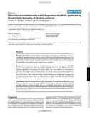 Detection of evolutionarily stable fragments of cellular pathways by hierarchical clustering of phyletic patterns